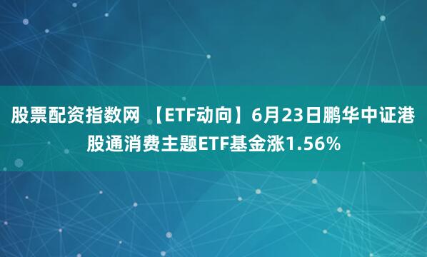 股票配资指数网 【ETF动向】6月23日鹏华中证港股通消费主题ETF基金涨1.56%