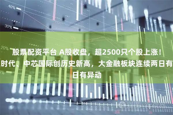 股票配资平台 A股收盘，超2500只个股上涨！宁德时代、中芯国际创历史新高，大金融板块连续两日有异动